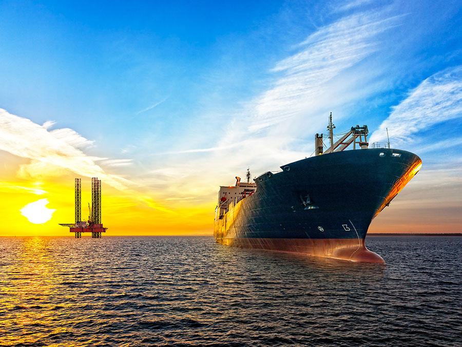 traterme-the-company